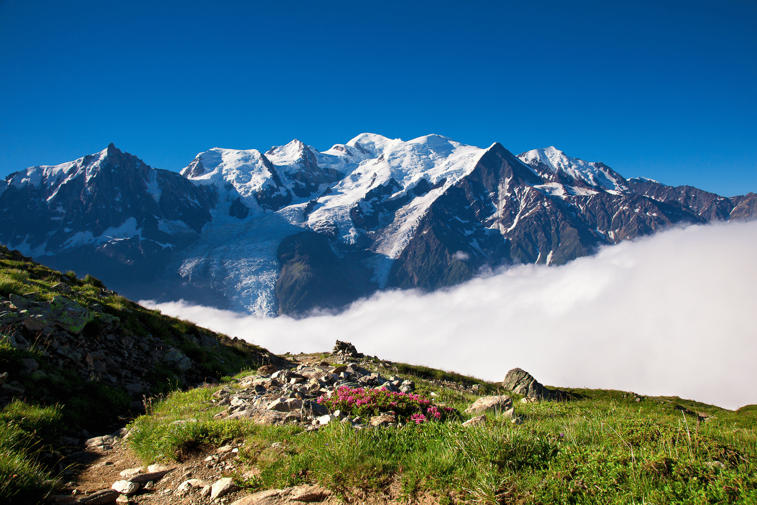 french alps in summer